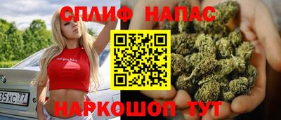 гидра Малоярославец
