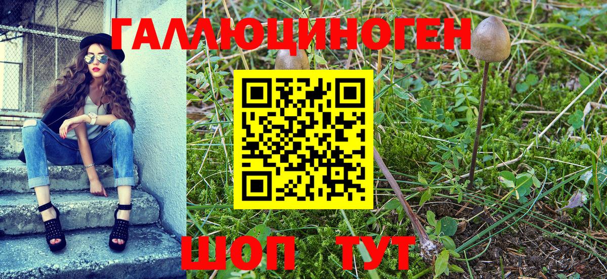 Псилоцибиновые грибы прущие грибы  Вход с VPN  Ижевск 